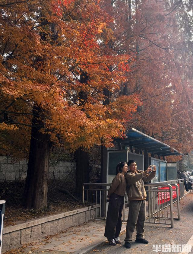 北九水网红路，周末打卡人气高！