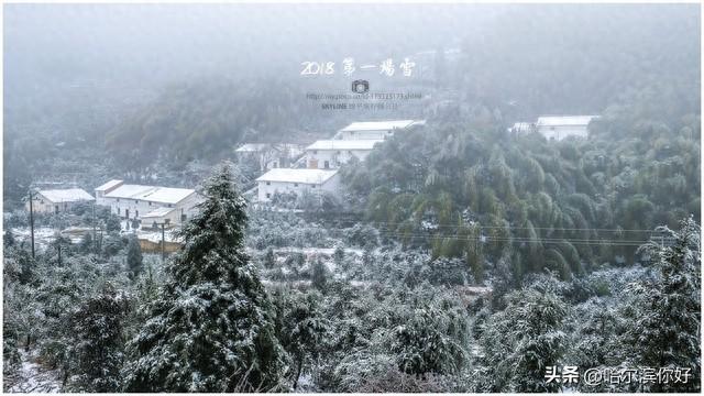 哈尔滨必打卡5地：冰滑梯甜到心，雪雕美到跺脚