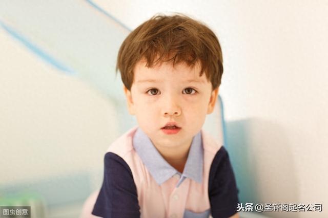 男宝宝起名带嘉字（有寓意的男孩名字 好听的男孩名字2020年）