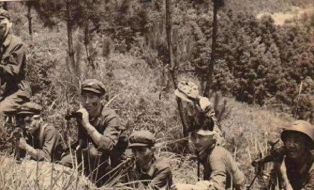 1950年，我军去尼姑庵剿匪，发现一尼姑胸脯大，又见一幅画不寻常