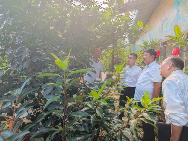 从“歇脚处”变“心归处”，文化特派员助力文化进民宿