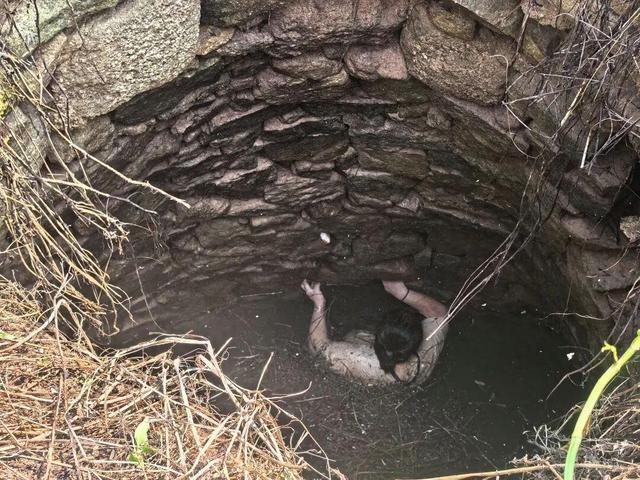 福建女子坠井54小时：被蛇缠身，淹在井水里	，想着父母坚持下去