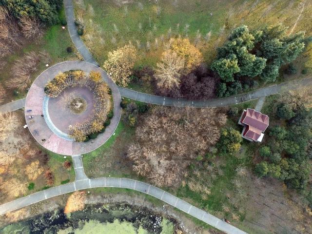 温县滨河公园，耐看！