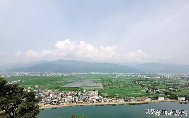 盛夏三川花正好，万亩荷塘邀你共赴田园诗画之约