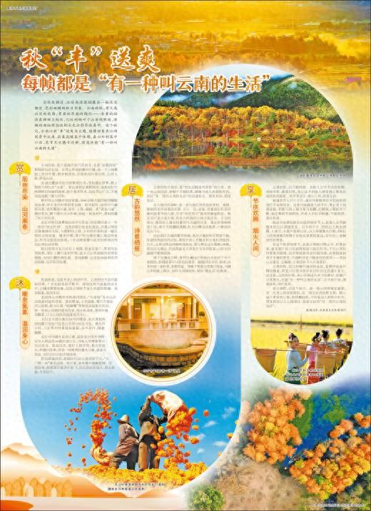 秋“丰”送爽 每帧都是“有一种叫云南的生活”