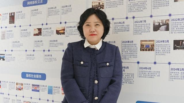 新黄河对话中国新闻出版研究院副院长赵冰：AI时代，版权保护离不开司法筑堤|第十届版博会