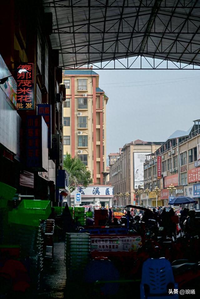 打卡元江，你会遇到三个版本的“热带”