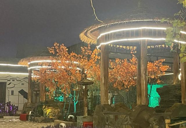 阜新五星级酒店温泉，二十个池子两个泳池，夜场竟然只要58元