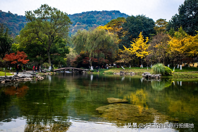 杭州太子湾藏着一片秘密花园 本地人私藏的秋日秘境