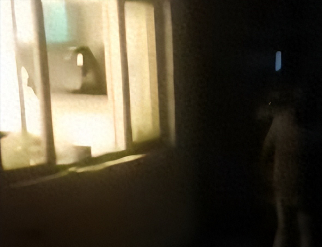 狗咬人新后续：申家儿子不在原因流出，原告曾对警方说打完架再谈