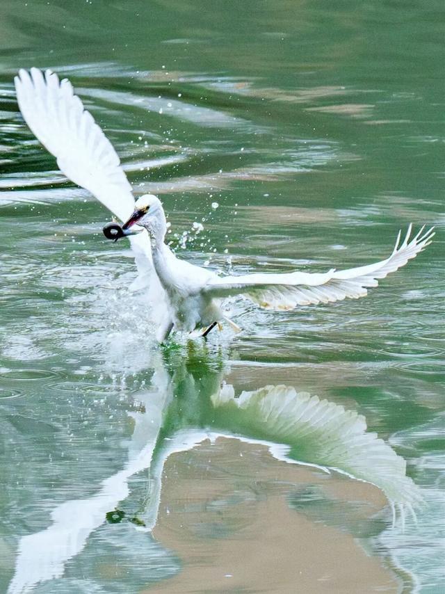 免费食堂！现点现做！