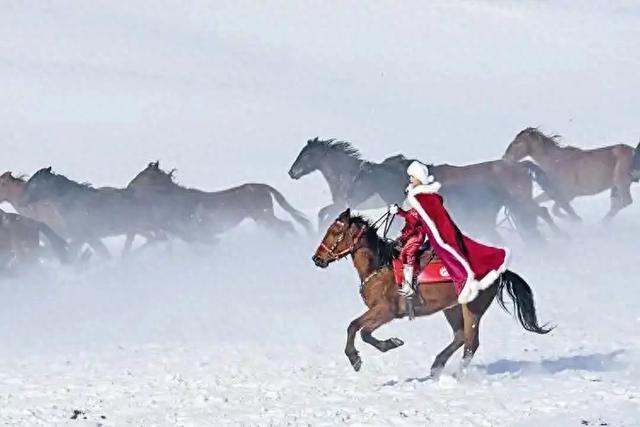 不止马背上的县长	，贺娇龙用400场直播改变乡村命运