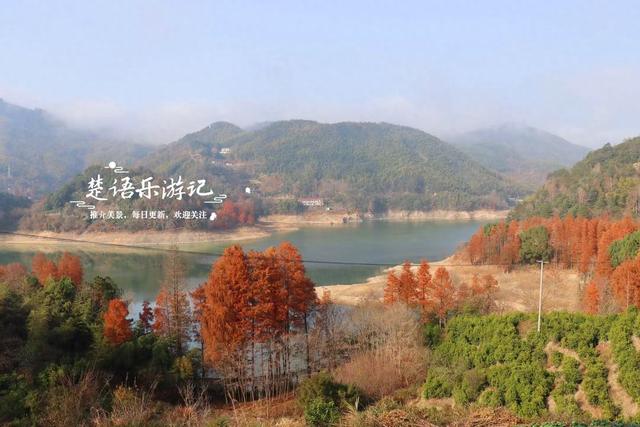 绍兴新昌这处风景少有人来，却是宝藏型桃源秘境，红杉林美不胜收