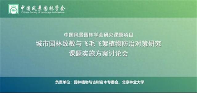 专家抓紧研究城市园林致敏与飞毛飞絮植物防治对策
