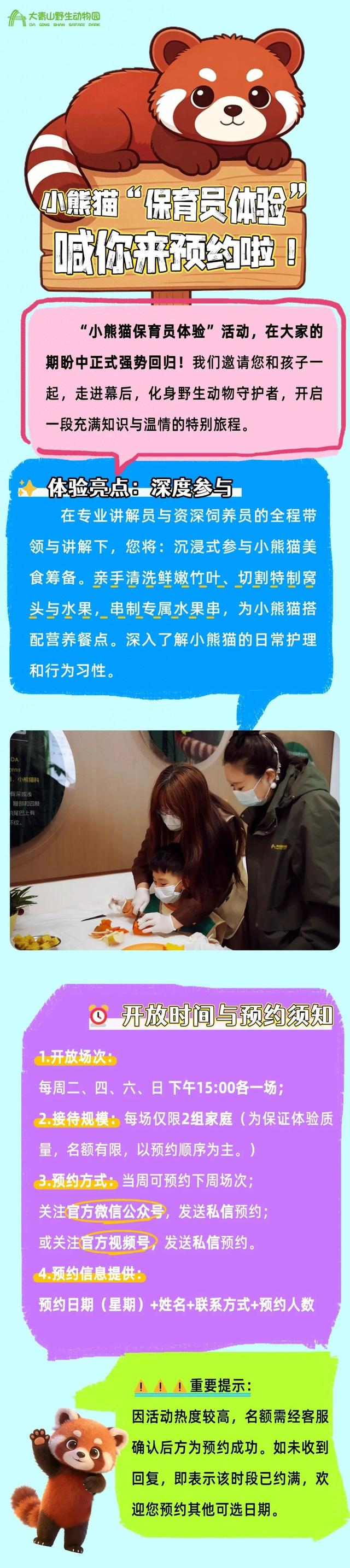 预约开始！去大青山野生动物园沉浸式体验小熊猫保育员