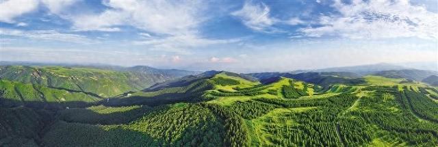 大青山：藏在热浪里的清凉之约