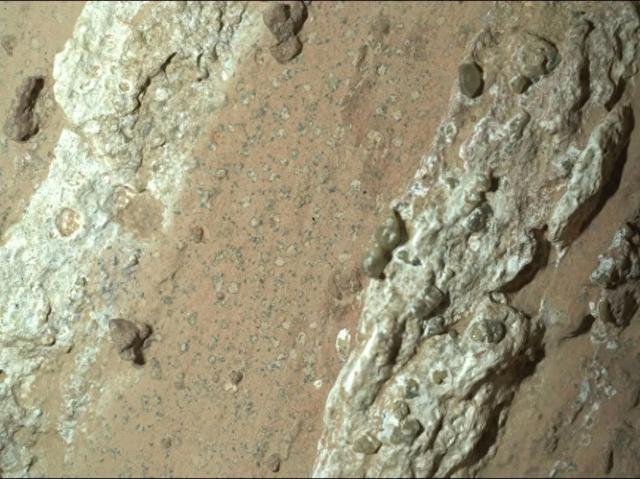 生命之岛攻略外星（NASA发现火星潜在生命印记）