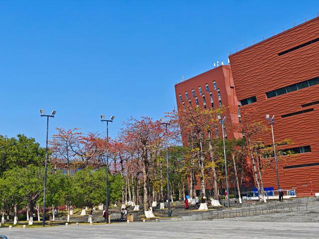 岭南木棉红，云山礼遇英雄城！白云国际邀您共赴一场春日之约