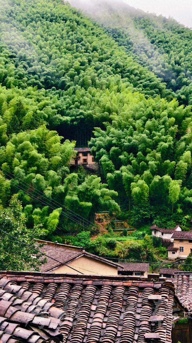 皖浙摩旅二人转——松阳横坑村篇（下）