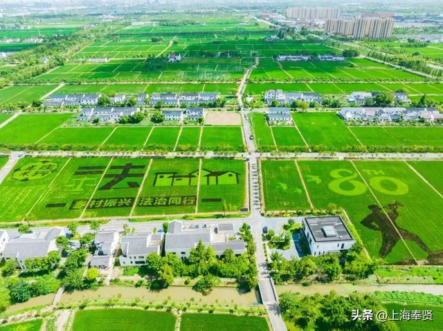 把一天过成诗！三条精品线路，解锁郊野农艺公园新体验~