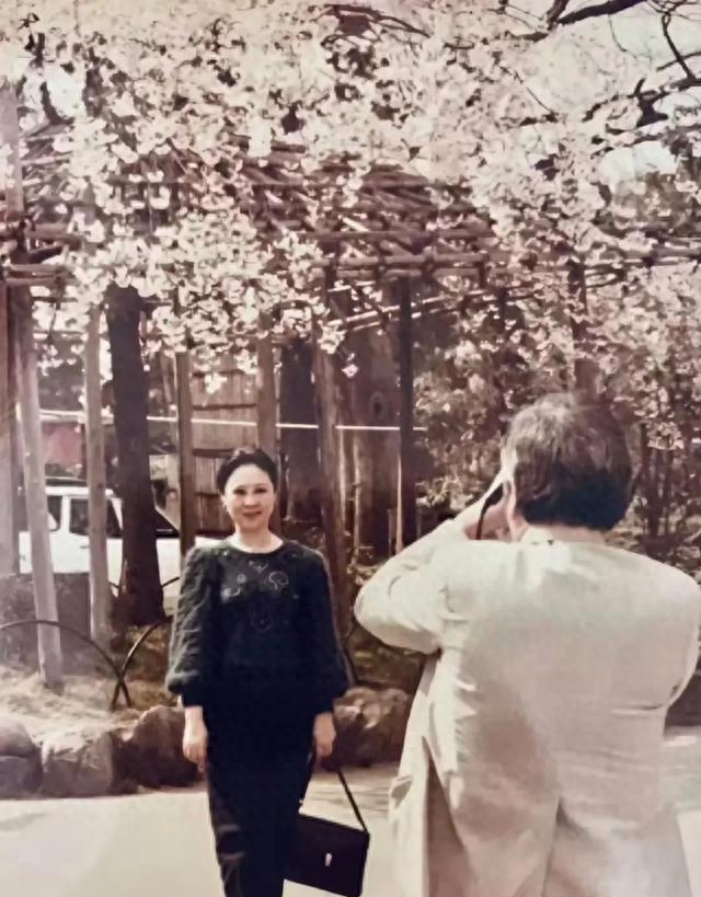 琼瑶和丈夫平鑫涛，在昆明石林旅游时，一张珍贵的合影，很浪漫