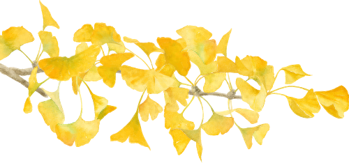 金灿灿！宜都限定美景上线！