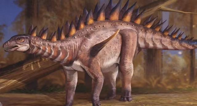 又踏甘肃地之七十三 白银篇之十三 白银市博物馆（2）