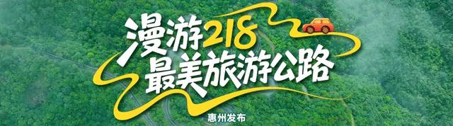 漫游惠州218最美旅游公路丨溪水里喝咖啡，开启秋日治愈之旅