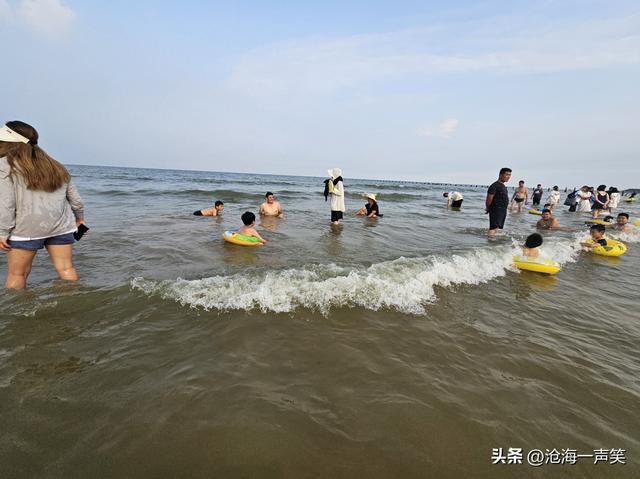 大海的世界，有童话有嬉戏，有欢笑有乐趣，有津津乐道、海阔天空