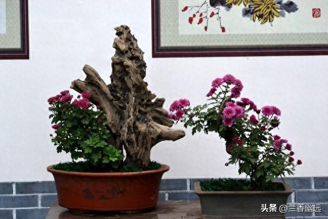 两性关系，68女人大实话，男人过了70岁，只剩下两个用处