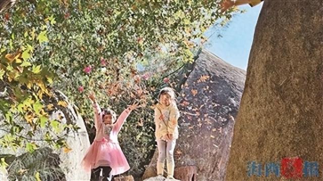 秋韵无限 鹭岛掀起“捡秋热”