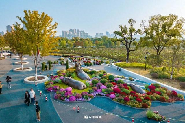 22万人已打卡，还剩2天！