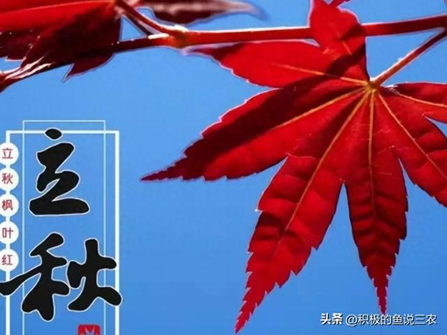 “就怕上午立秋，不怕下午立秋”，今天立秋在几点？有什么征兆？