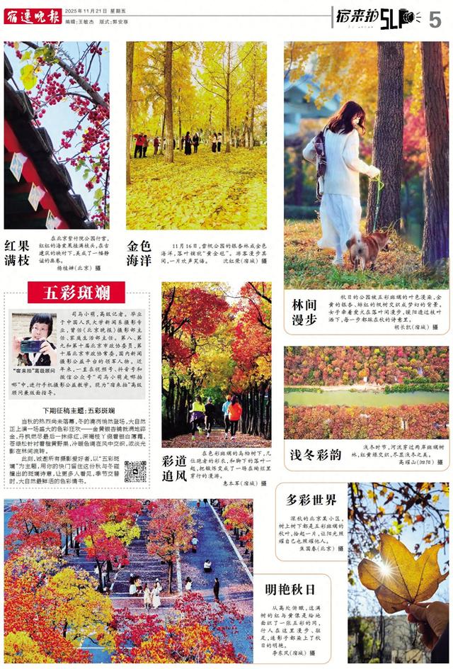 宿来拍丨五彩斑斓