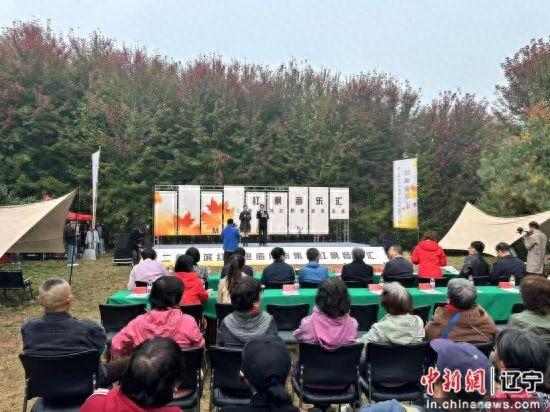 沈阳浑南区：枫叶如诗 乐声如画 王滨红枫里追风市集浪漫启幕