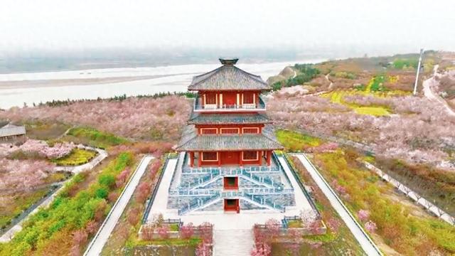 郑州公交两条文旅巴士同时上线 免费带你一站式寻梅赏樱