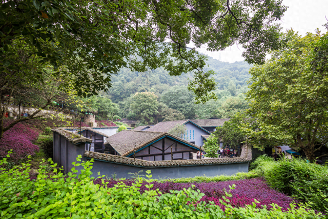 人民城市的“有机生长”⑤丨文明之城 文化为魂勾勒山城新图景