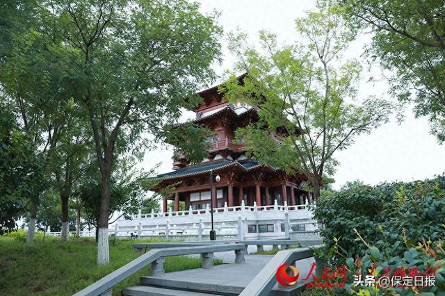我在雄安建公园