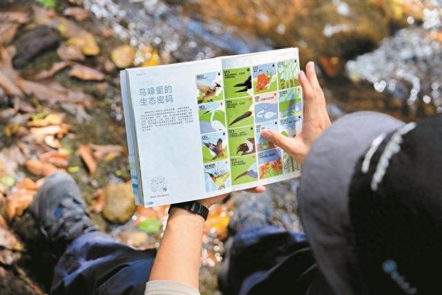 鲲鹏径主题图书和纪录片昨日发布 20段行走笔记带你纵览山海鹏城