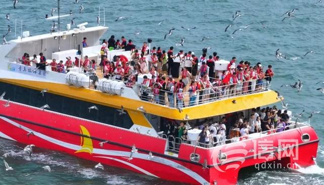 青岛旅游集团多举措打造海洋文旅新质生产力 游客量创新高