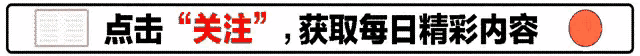荣耀Magic7降价至3178元？与GT Pro对比，各有亮点