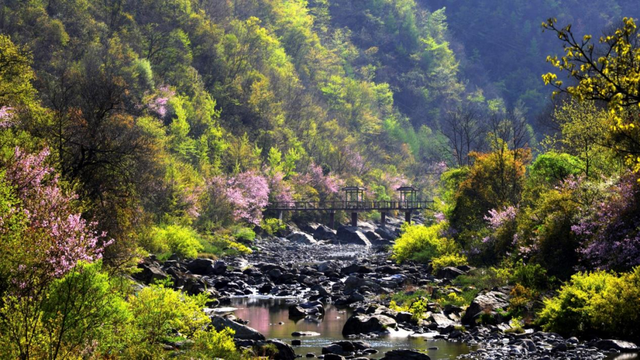 这个冬春四大门票优惠让你“超值”“玩美”游陇南
