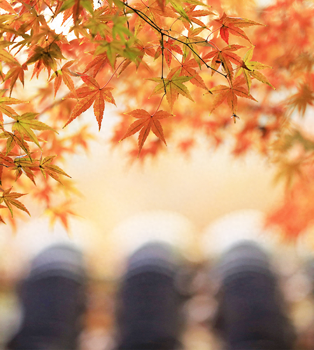 上海寒潮预警！骤降10℃！上海太阳岛度假酒店邀你赴温泉养生局～工会会员独享价格！