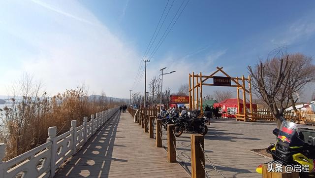 去三河口看天鹅