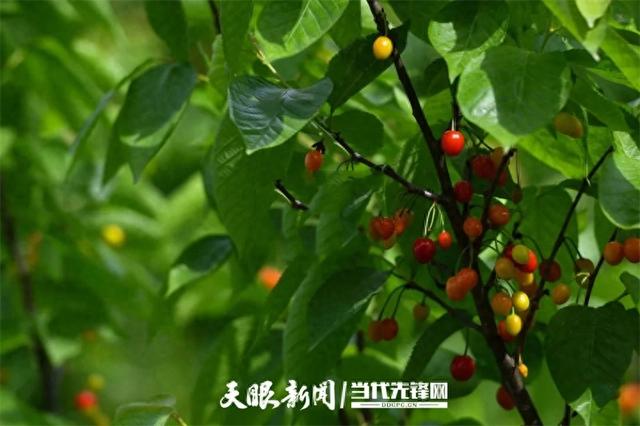 【多彩小水】绿水青山入画来，此间风景正好｜多彩之绿