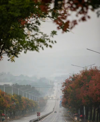 秋意渐浓，五彩斑斓朐城等你来打卡！