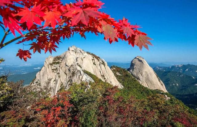 天柱山秋冬“躺平”指南:从红叶滤镜到雪景开挂,懒人也能封神