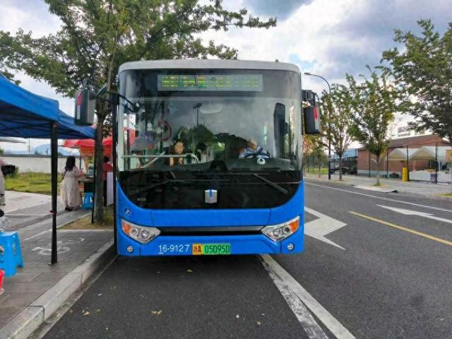 1元直达红杉秘境 临安限定公交专线串联湖光林影