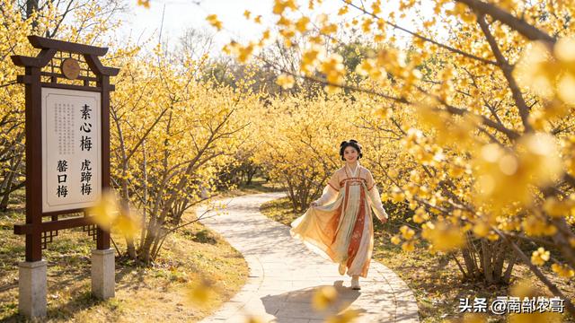 腊梅主题公园漫游记