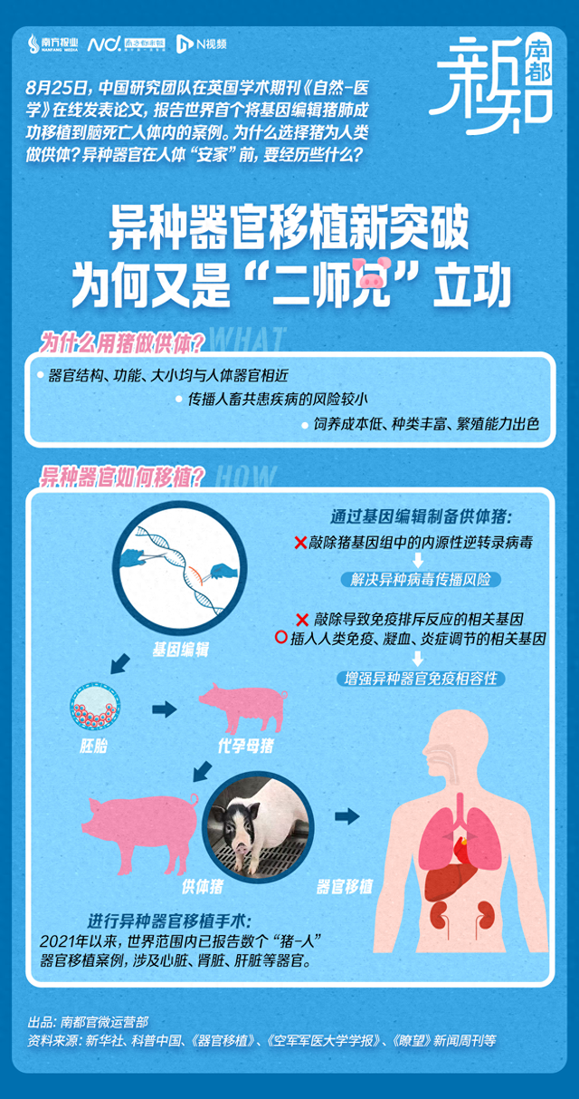 全球首例！为啥又是“二师兄”立功 | 南都新知